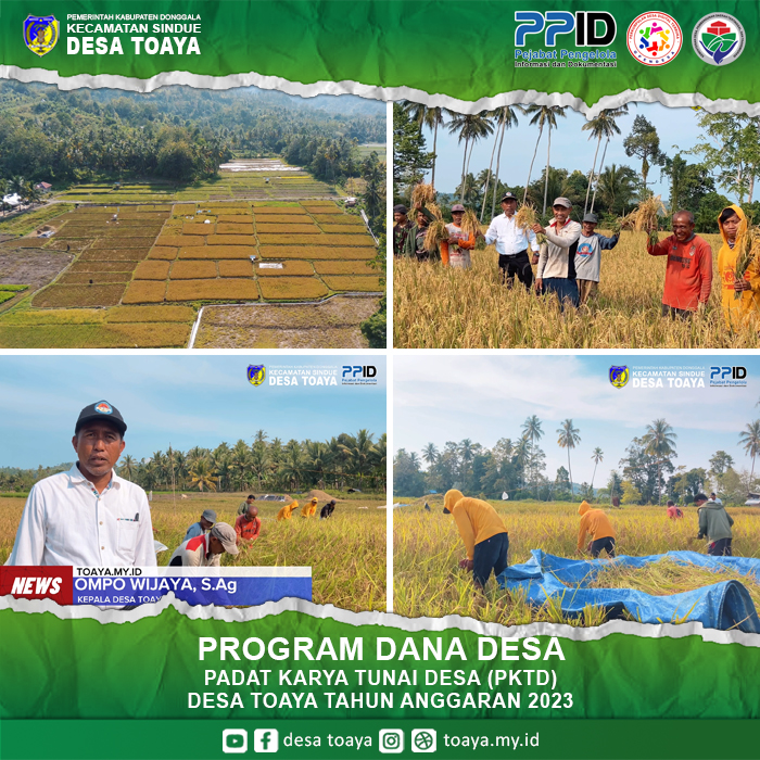 pktd_padi01