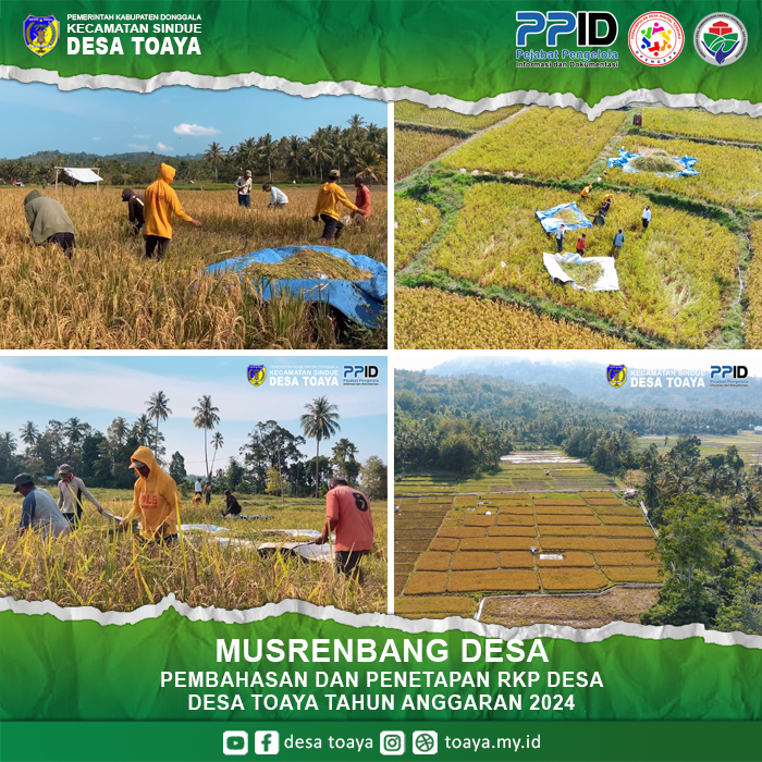 pktd_padi02