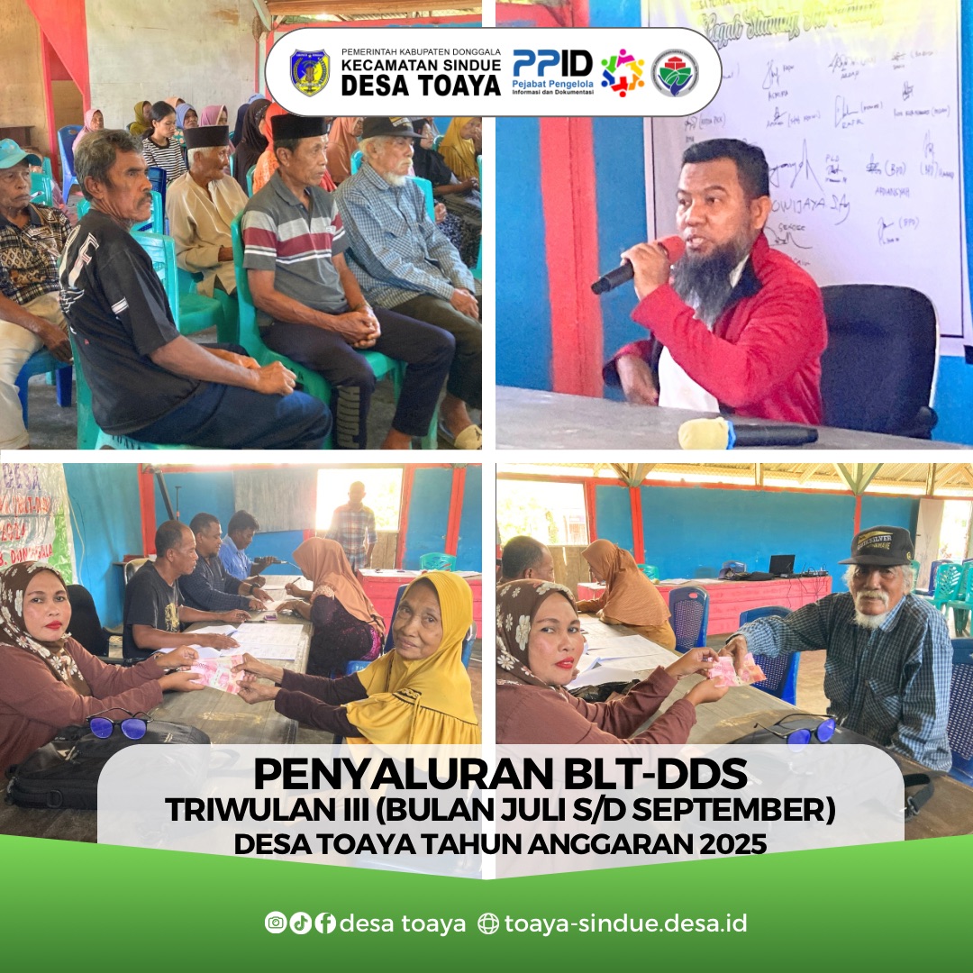 blt-dds_3_02