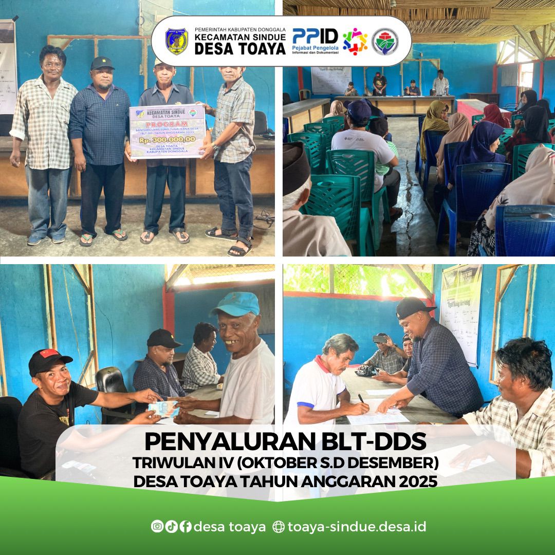 blt_dds_4